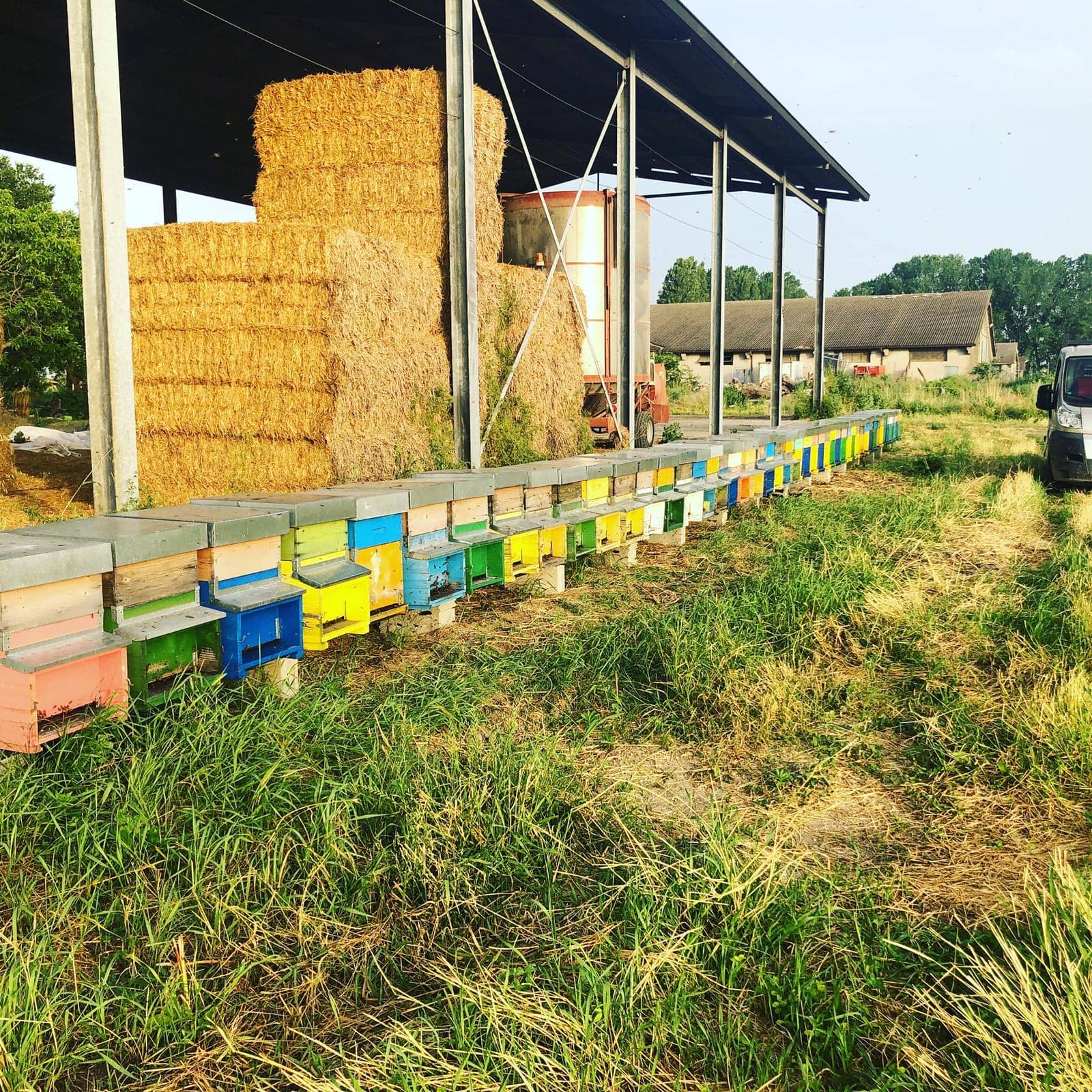 le arnie di apicoltura burato in campagna